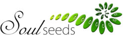 SoulSeeds – Sonja Käslin